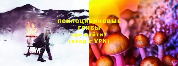 эйфоретик Богданович