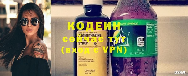 эйфоретик Богданович